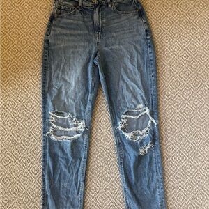 American Eagle Outfitters Distressed Mid-Blue Straight Leg Jeans